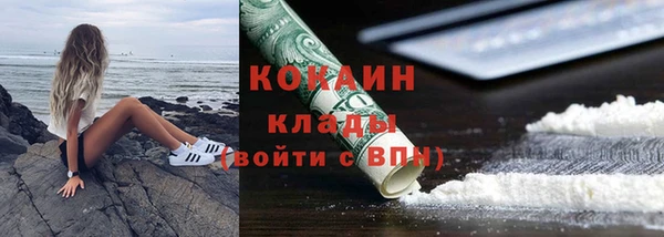 твердый Мегион