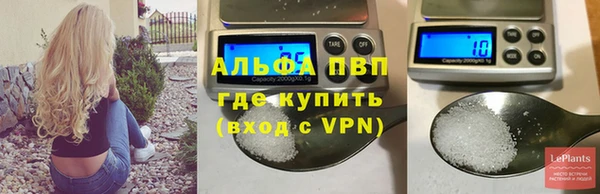 сатива Медвежьегорск
