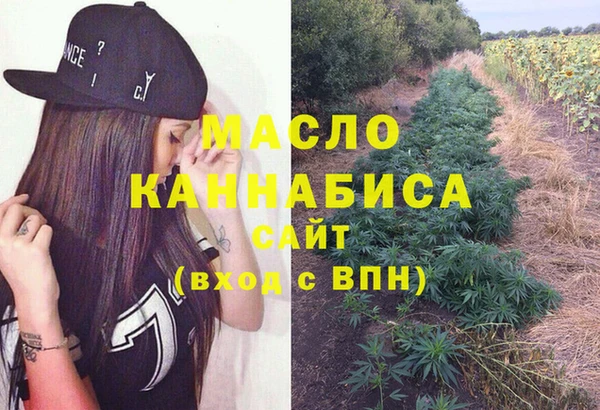 твердый Мегион