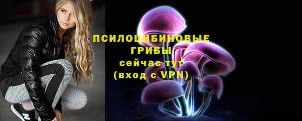 сатива Медвежьегорск