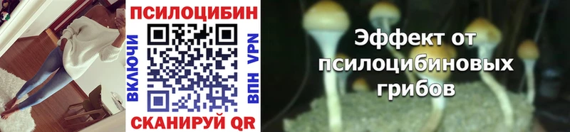 Псилоцибиновые грибы MAGIC MUSHROOMS  Темников 